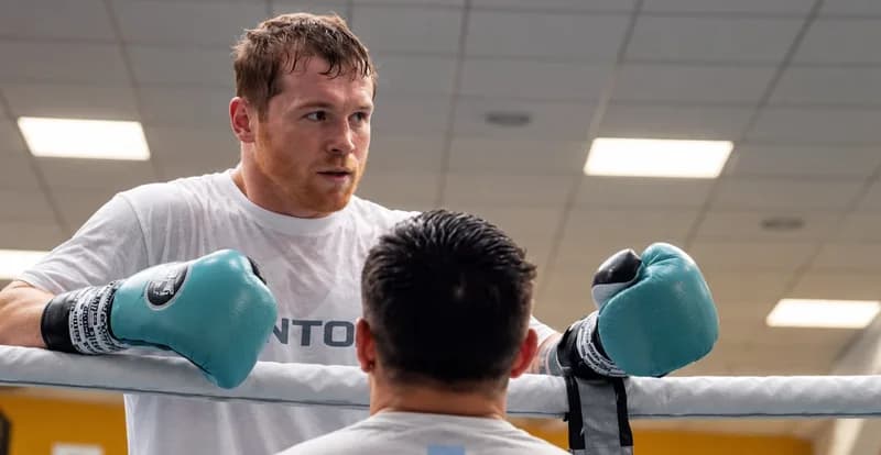 Canelo Alvarez Seeks Stamina Help From Team Usyk